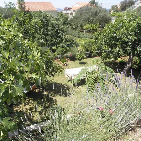 Zvone Appartement