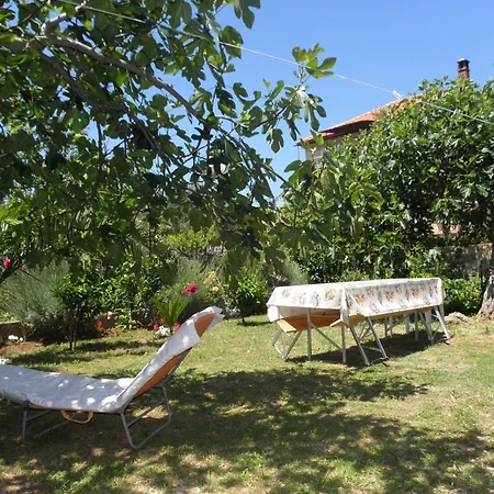 Zvone Apartamento Bibinje